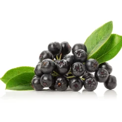 Aronia Pulver EKO 250g