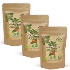 Ashwagandha Extract EKO 500mg 60 Kapslar x 3 paket