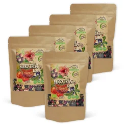 Berry Treat Te EKO 100g x 5 paket