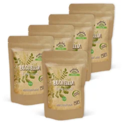 Boswellia Extract 500mg 60 kapslar x 5 paket