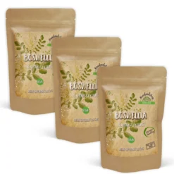 Boswellia Extract 500mg 60 kapslar x 3 paket