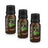 Breathe Easy Essential Oil Blend 10ml x 3 flaskor
