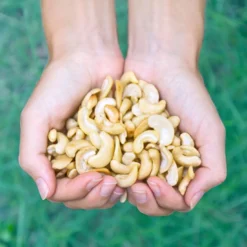 Cashewnötter Delade EKO 1kg