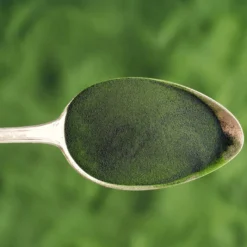 Chlorella Pulver EKO 125g