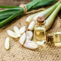 Citrongräs Eterisk Olja 50 ml