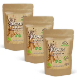 Cordyceps Extract EKO 400mg 60 kapslar x 3 paket