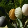 EKO Konjak Svamp med bambu träkol