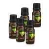 Energising Essential Oil Blend 10ml x 5 flaskor