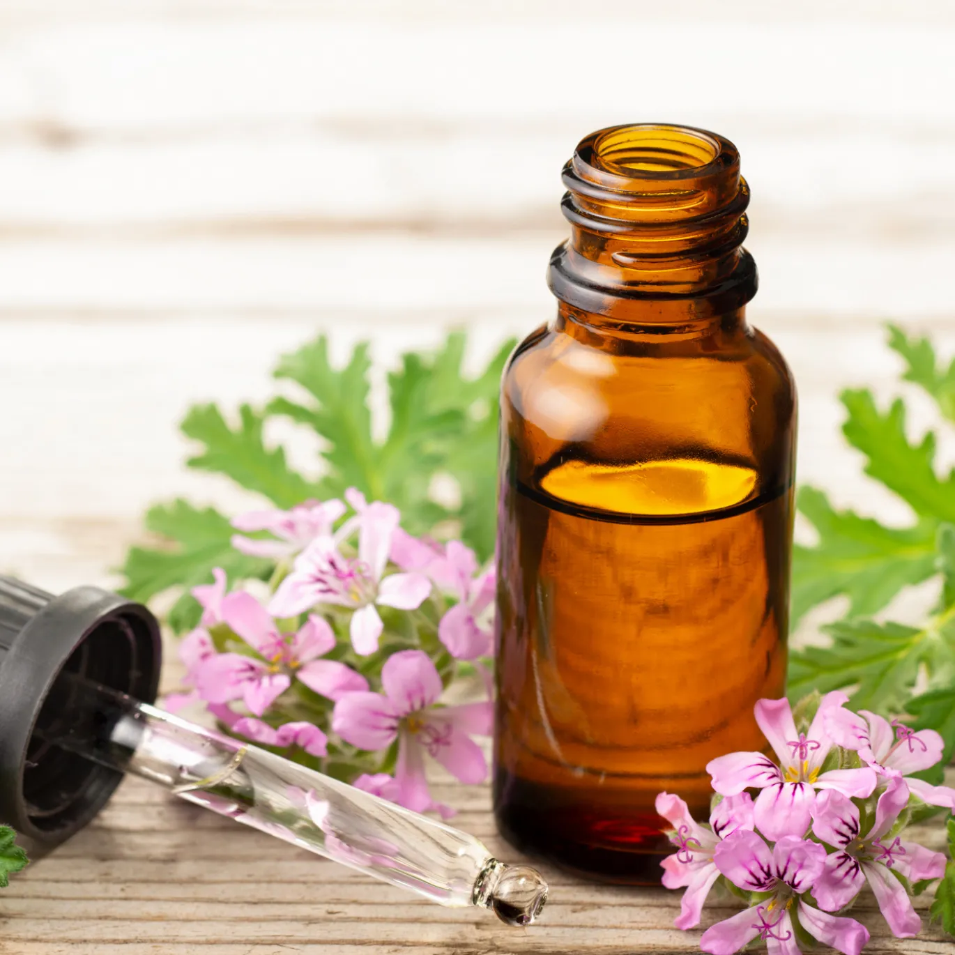 Geranium Eterisk Olja 50ml