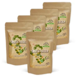 Ginkgo Biloba Extract 120mg 60 kapslar x 5 paket