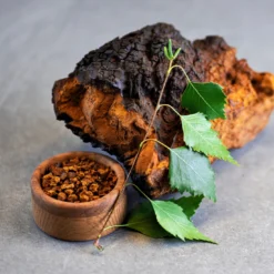 Golden Latte Pulver med Reishi & Chaga 100g
