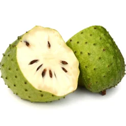 Graviola pulver 125g