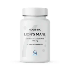 Holistic Lion's Mane 60 kapslar