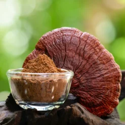 Kakaopulver Ceremoniell Reishi & Chaga 100g