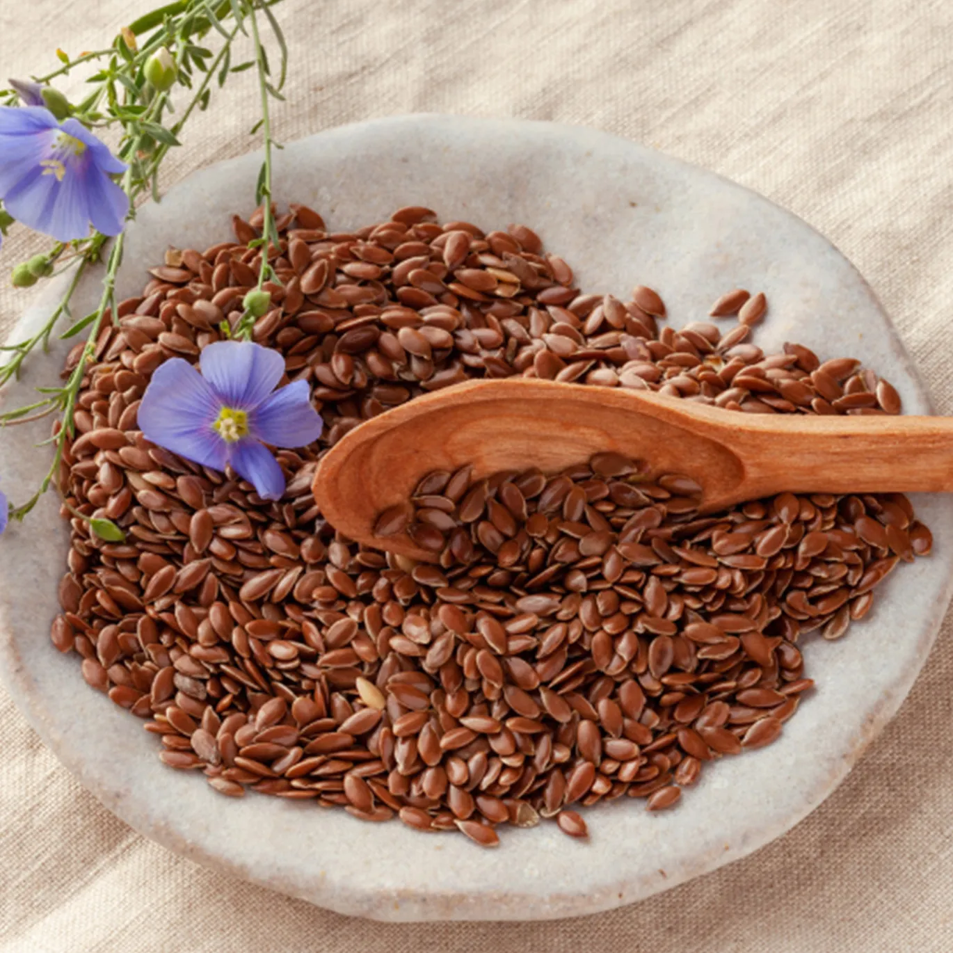 Linfrön Bruna EKO 500g