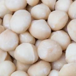Macadamianötter Premium RAW EKO 500g