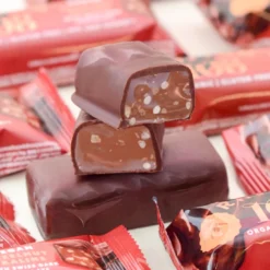Mörk Choklad Hasselnöt Praline Bar EKO 33g