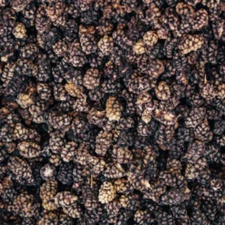 Mullbär Svarta EKO 500g