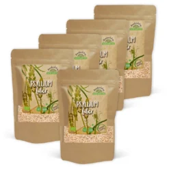 Psyllium Fröskal EKO 100g x 5 paket