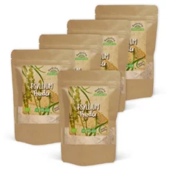 Psyllium Pulver EKO 100g x 5 paket