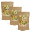 Psyllium Pulver EKO 100g x 3 paket