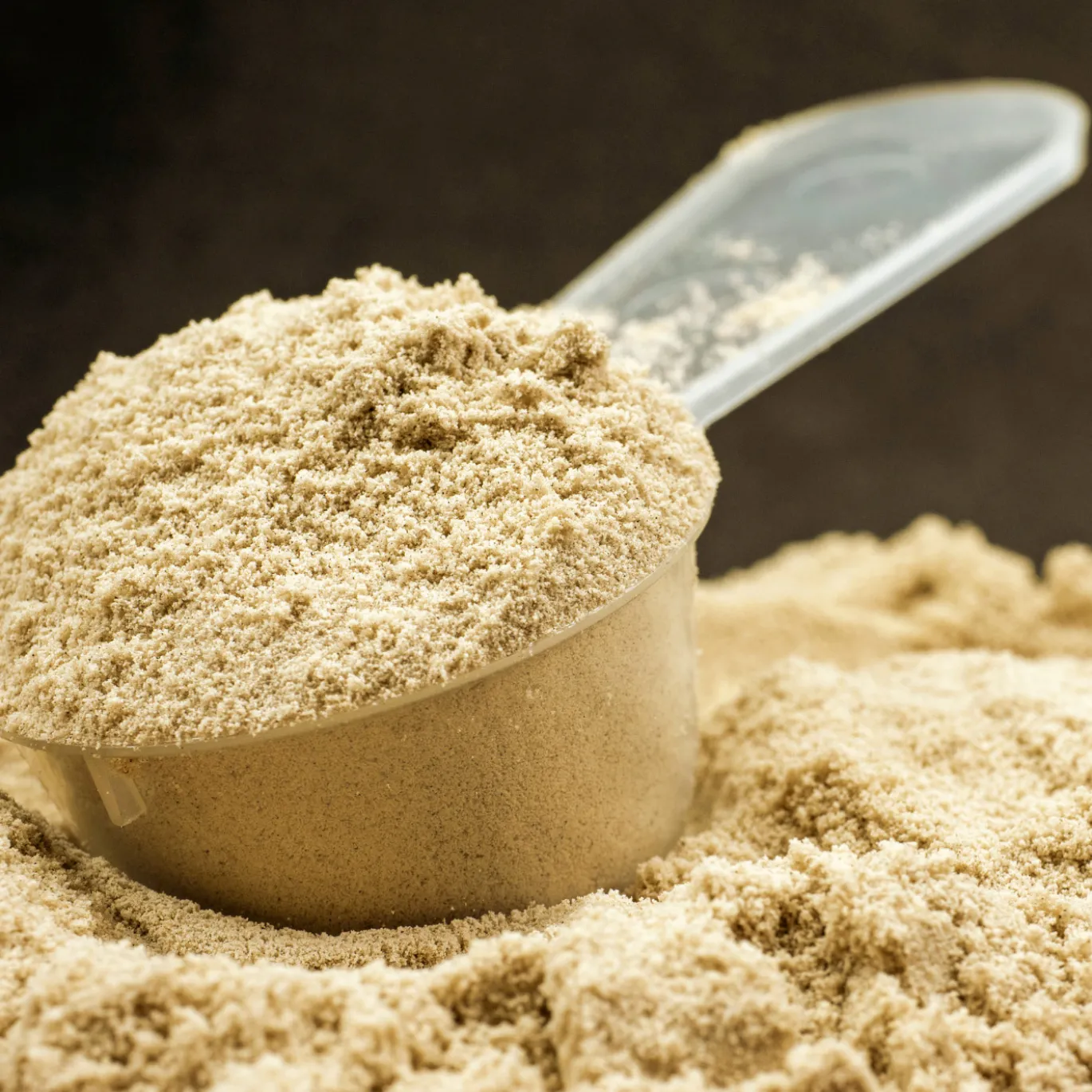 Pumpaprotein 60% EKO 500g