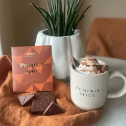 Pumpkin Spice Choklad 49% EKO 48g