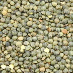 Puylinser Gröna EKO 500g