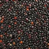 Quinoa Svart EKO 500g