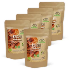 Reishi Extract 400mg EKO 60 kapslarx 5 paket
