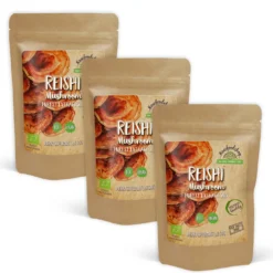 Reishi Extract 400mg EKO 60 kapslarx 3 paket