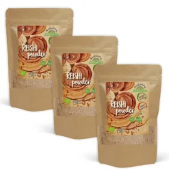Reishi Mushroom Pulver EKO 250g x 3 paket