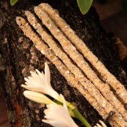 Rökelse Botanico Nardusört & Frankincense 6st