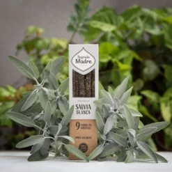 Salvia rökelsepinnar 9st