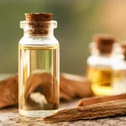 Sandelträ Amyris Eterisk Olja 10ml