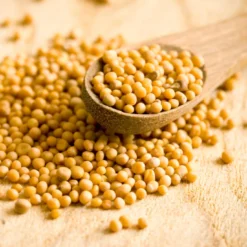Senapsfrön Gula EKO 50g
