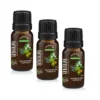 Sensual Essential Oil Blend 10ml x 3 flaskor
