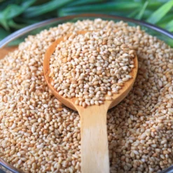 Sesamfrön oskalade EKO 500g