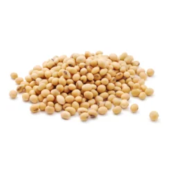 Sojaprotein 90% EKO 500g