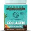 Sunwarrior Collagen Building Protein Choklad 500g