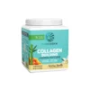 Sunwarrior Collagen Building Protein Vanilj 500g