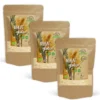 Vetegluten EKO 1kg x 3 paket