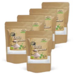Xylitol EKO 500g x 5 paket
